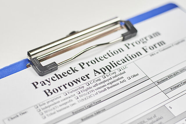 Govt Programs, Loans, Other