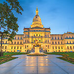 State of MI Licensing Info