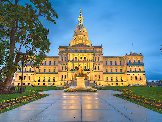 State of MI Licensing Info